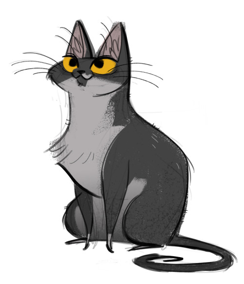 dailycatdrawings: 309: Papi Apparently it’s National Cat Day? To celebrate, here is a quick sk