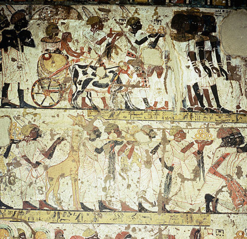 Nubians bringing tribute to the PharaohMural depicting a tribute to the King of Egypt from Nubian no