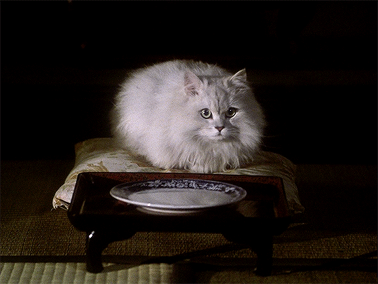 myellenficent:  Hausu (1977) Dir. Nobuhiko Obayashi