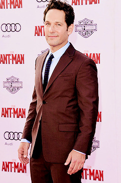 paulruddaily: quicksiluers: Paul Rudd attends the premiere of Marvel’s “Ant-Man”