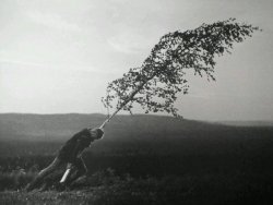 kulturtava: The Virgin Spring - Ingmar Bergman