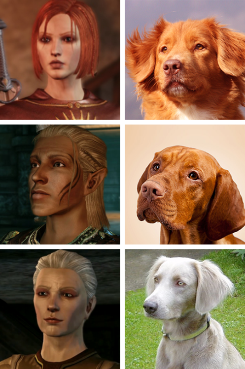 klc-journei: little-black-otter: Added some Inquisition doggos now that I’ve finished the game