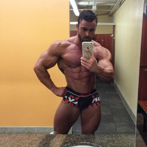 Adonis Files