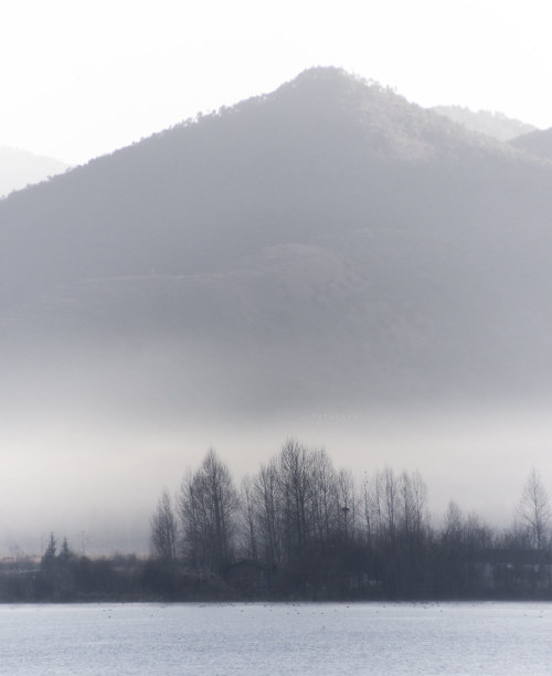 晨雾 morning haze on Flickr https://www.flickr.com/photos/7433680@N08/49115531618