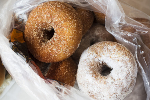 Porn yummyinmytumbly:  Apple cider doughnuts photos