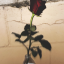 grungerose0820