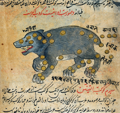 signorformica:Constellation of Ursa Major. Calendar of the year A.H. 1301, according to the Persian 