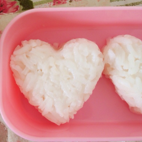 pastel-cutie:  I made a cute bento box today! 💕