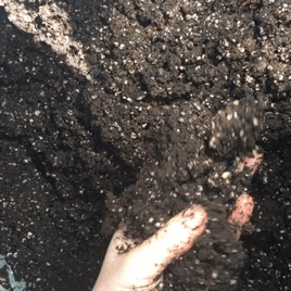 Dirt Stimboard !
