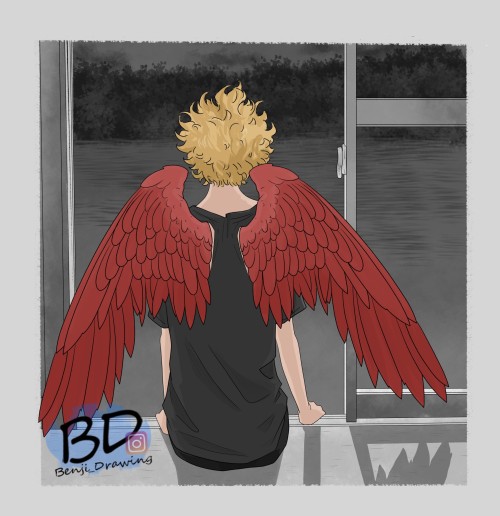 Hawks Doodle