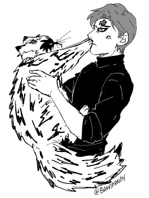 bakapandy: [Modern AU] More cat Shukaku