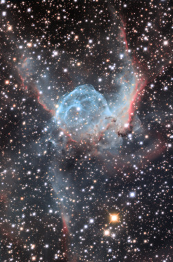 spaceexp:  Thor’s Helmet Nebula via reddit