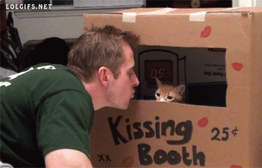 #Cat Kiss from Pets and Friends