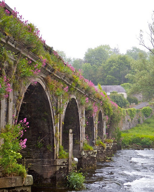 Inistioge Bridge in County Kilkenny, Ireland (by féileacán).