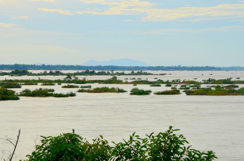 Photographic highlights of Kratie, Cambodia Yes, I know the Irrawaddy Dolphin is missing. Blame Tumb