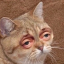 erchieishere