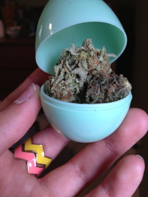 turnthevaliumup:  because easter 