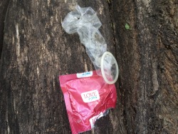 usedcondomss:  I’ve found this used condom in the Vacaresti Delta. It looks kind of clean. I don’t think the guys had finished fucking. Damn!  But the shape of that cock looks very interesting! :)