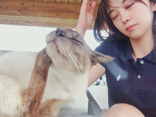 つぐ‏ @tugu_kanden島の猫とシンクロするつぐ