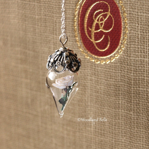 culturenlifestyle:  Enchanted Beauty & the Beast inspired Enchanted Rose Glass Vial Terrarium Necklaces North Carolina-based boutique Woodland Belle blends a rustic sensibility with a fairy-tale inspired theme into their contemporary jewelry. Inspired