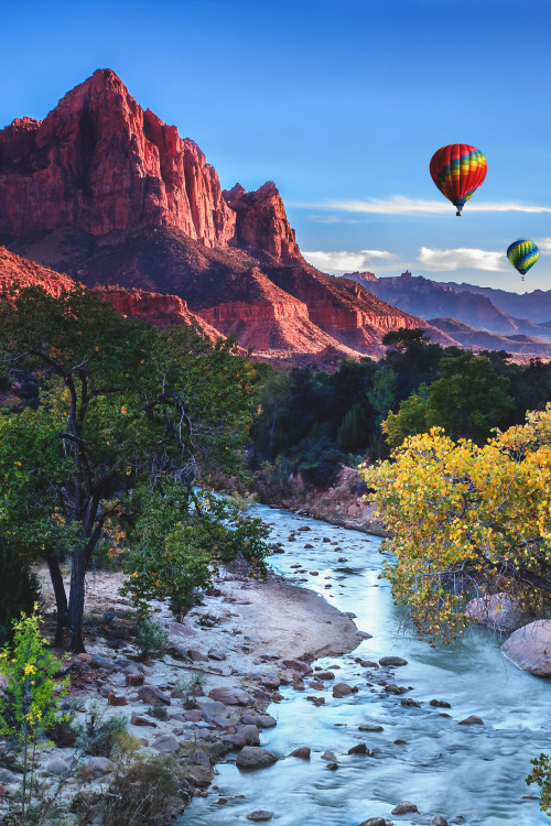 wnderlst:  Zion National Park | Andrew Cirrincione