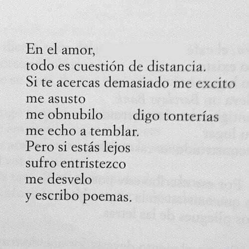 Sueño con contar historias 🌱