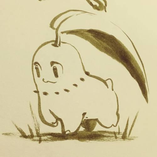 gracekraft:  maybe the cutest chikorita I’ve ever drawn 