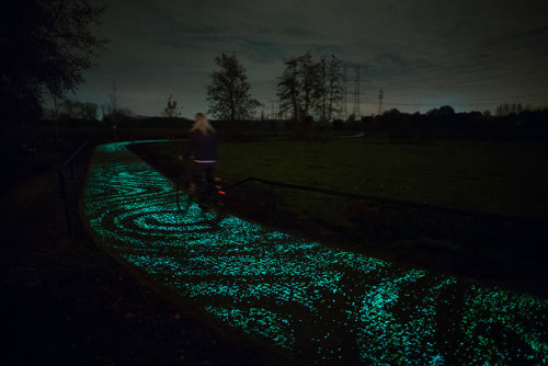 beben-eleben:Solar-Powered Glowing Bicycle Path In Netherlands Inspired By Van Gogh’s Starry Night