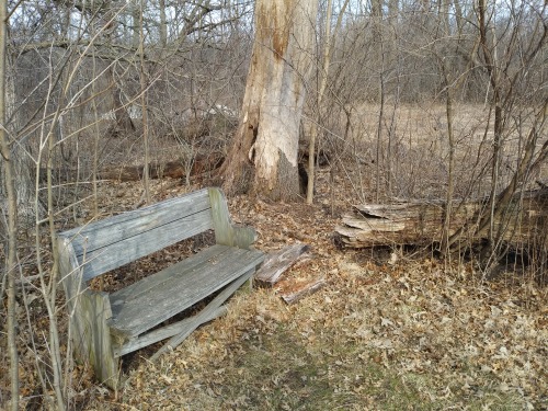 these-summer-nights-in-december:Bench (April Meadow).Christopher Citro