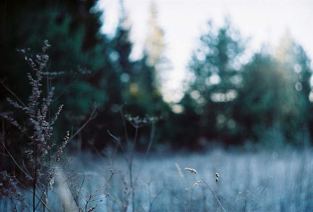 meg4nnn:  i don’t even know by Liis Klammer on Flickr. 