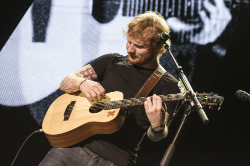 mariesheerio:  Ed Sheeran in Brisbane Part 2. x