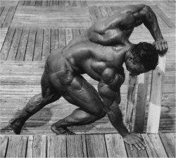 The classic photo of Kevin Levrone