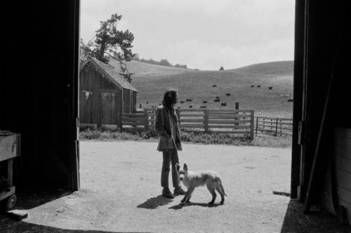 Neil Young on his ranch