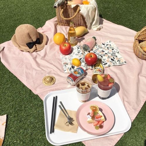 pic nic