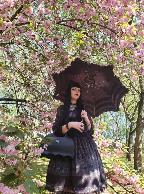 wingedanklets: In the japanese gardens of Hasselt for this month’s picnic meet! All photo cred