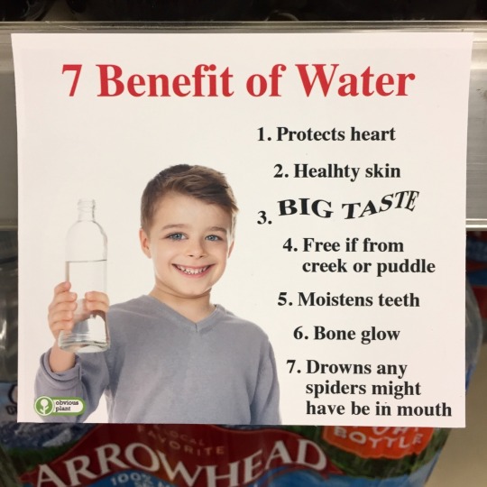 obviousplant:  Stay hydrate 