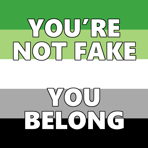 queerlection:[Image description - Images of the trans, rainbow, pan, nonbinary, bi, lesbian, genderfluid, aromantic and asexual pride flags with the text: You’re not fake. You belong. End description.]