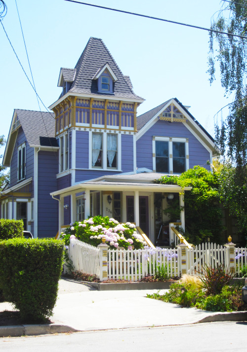 Purple perfection. Santa Cruz, CA.