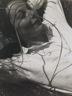 shihlun:  László Moholy-Nagy / Portrait