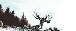 wolfsfall:Get to know me meme: [1/5] favorite movies;↳ The Harry Potter Saga (2001-2011)