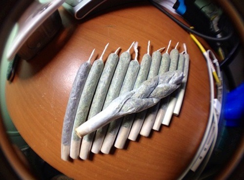 smokethesativa:  FoLLoW ThE sAtIVa