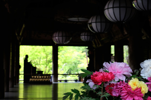 We stopped by Hasedera temple in Sakurai, Nara on the way back to our office. It is very beautiful t