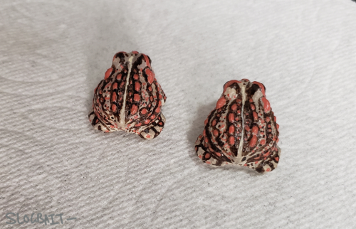 Tiny Amargosa Toads are now available in limited quantities in my shop! These guys took a second to 