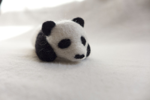 Panda Brooch available at my Etsy shopI have mixed feelings about pandas, but mostly I just want to 