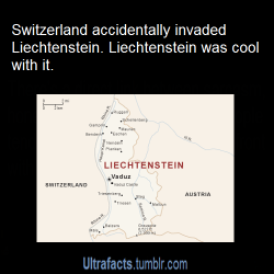 flylittlekoala:  ultrafacts:  ampy-pony:  macwithac:  ultrafacts:  For more posts like this, follow Ultrafacts (Source)  Lichtenstein be like “they’re invading, but whatever.”  But how do you “accidentally” invade a country?  On 5 December 1985,