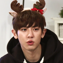 sefuns:  most handsome reindeer :)
