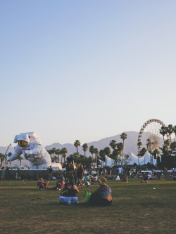 thecraziethewizard:  Coachellaby Jeremiah Probodanu