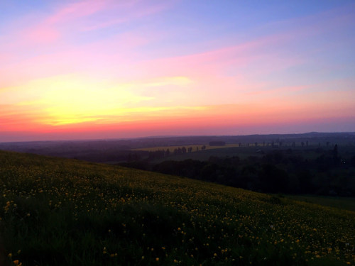 magic-spelldust:   Views of Oxford by   	beth dunbabin   
