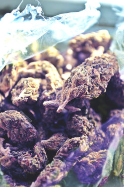 nicknigger:  all purp & 1 green nug 