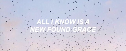 taylor swift // everything has changed